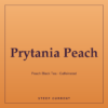 Prytania Peach — Steep Current Prytania Peach — Peach Black Tea · Caffeinated, loose-leaf tea by Steep Current